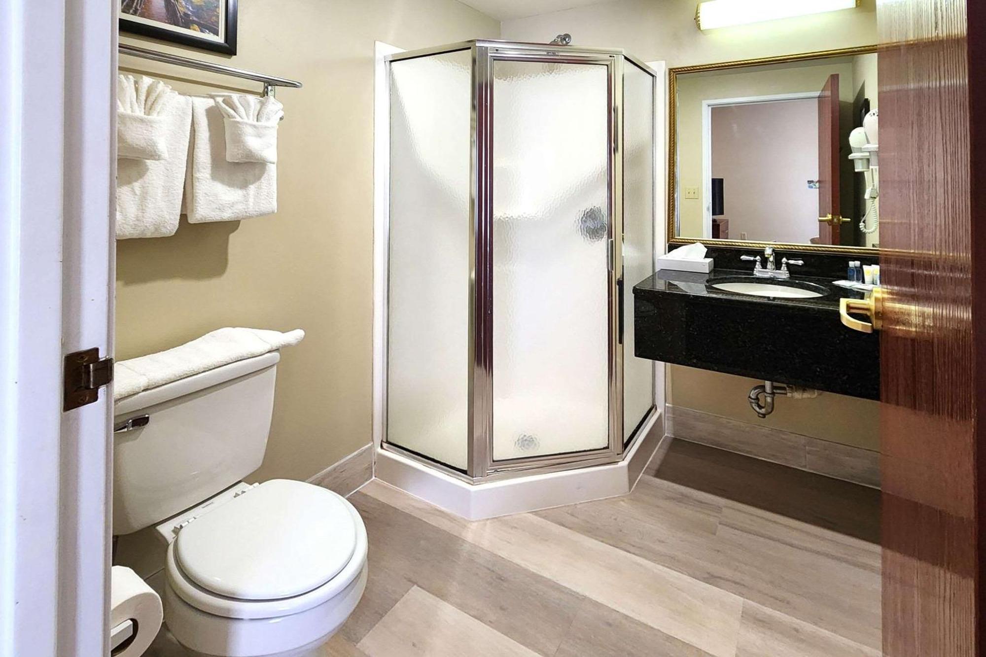 Comfort & Hotel